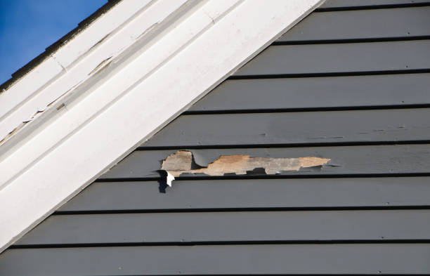 Best Storm Damage Siding Repair  in Wayne Heights, PA